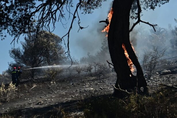 E162bb93ec2fe37a7004cadf9530cec6