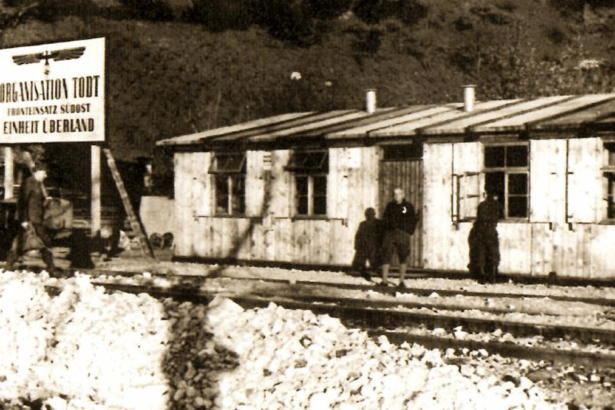 Edf44931e4513e00a27764f7d5a60052