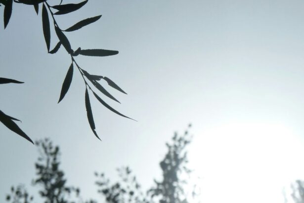 F5ab3d2aa7a462c954bf4399210993a1