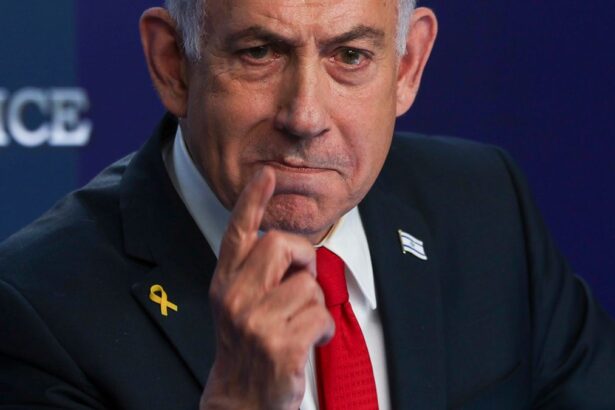 F6b368ae9b4501944fe681ffaef79155