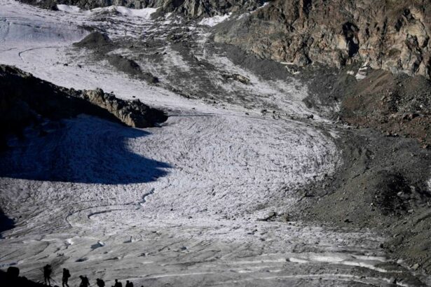 70f02fce1c65d58e06fa60861af046b7 no watermark