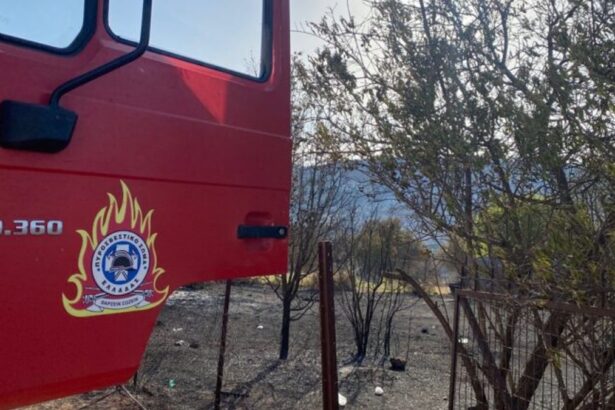 936a9968074ffe93630ac793c41fa892 no watermark