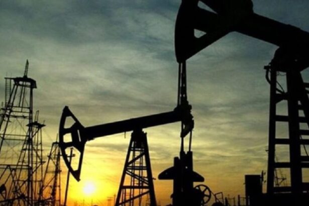 C894ba711b14e4fd85ae9c32d68c85a3 no watermark